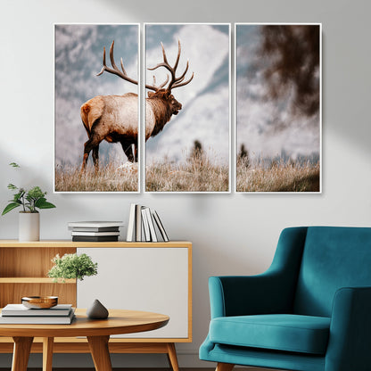 Majestic elk with large antlers standing in grass with snowy mountains in background, perfect for rustic cabin or lodge style decor.