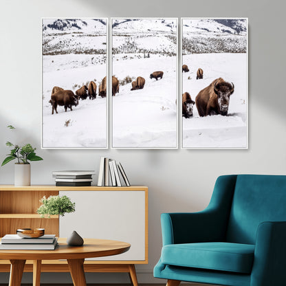 A herd of bison walking through deep snow in a mountain valley, perfect for rustic, cabin or western-themed wall decor.