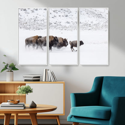 Bison herd running through a snowy open field with mountain backdrop, perfect for rustic or western-themed wall decoration.