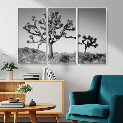 Black and white Joshua trees in a rugged desert landscape, creating a calm and minimalist feel for natural or rustic-themed interiors.
