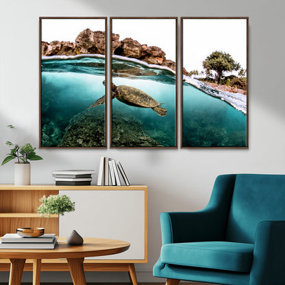 Dynamic split-view photo of a sea turtle swimming near rocky shores, perfect for vibrant coastal or tropical beach home decor.