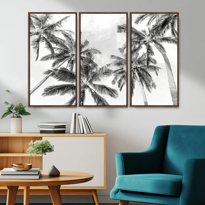 Black and white tropical palm trees viewed from below, swaying gently against a bright sky, creating a serene and elegant coastal atmosphere.