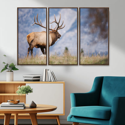 Elk with antlers standing on grass with mountain background, ideal for rustic, cabin, or lodge-inspired wall decor.