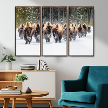 A herd of American bisons walking through a snowy forest path, perfect for rustic cabin or Western-themed wall decor.