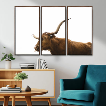 Minimal photo of a longhorn cow with white background, ideal for rustic, western or farmhouse-style interior decor.
