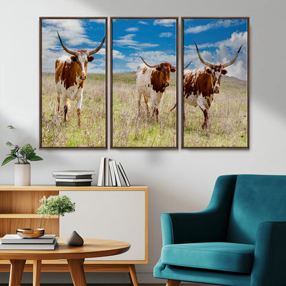 Three Texas longhorn cattle standing in dry grass under a bright blue sky, ideal for farmhouse or western rustic home decor.