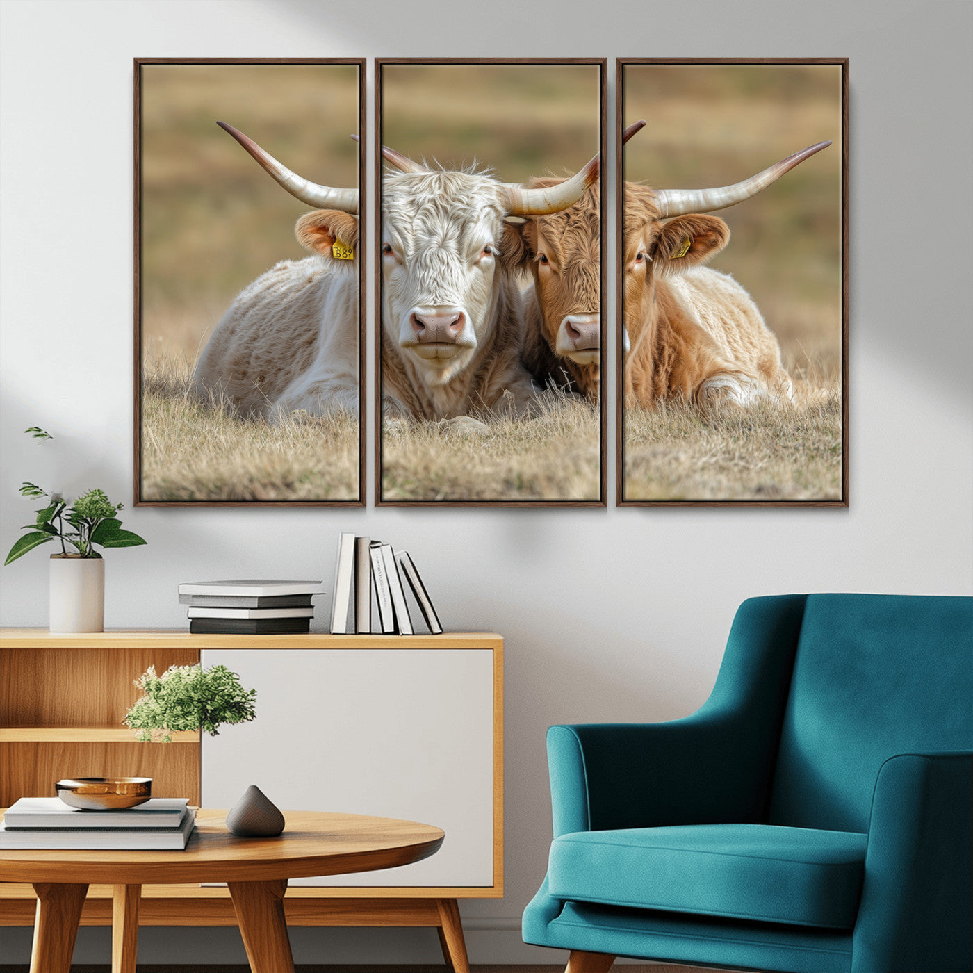 Two cows laying closely in a dry grassy field, captured in soft light, perfect for rustic farmhouse or western style home decor.