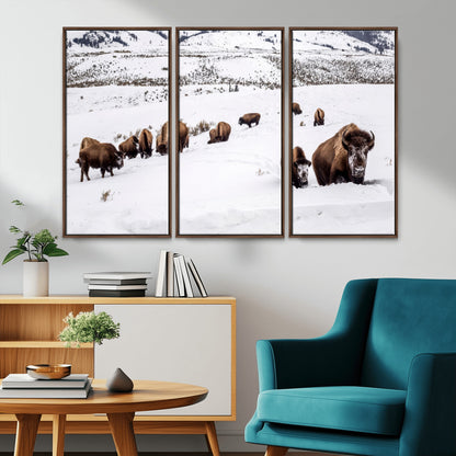 A herd of bison walking through deep snow in a mountain valley, perfect for rustic, cabin or western-themed wall decor.
