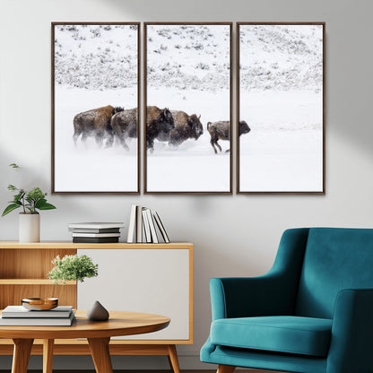 Bison herd running through a snowy open field with mountain backdrop, perfect for rustic or western-themed wall decoration.