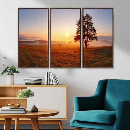 A tranquil landscape at sunrise with a mist-covered field and a lone tree, creating a peaceful and natural atmosphere.