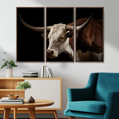 "Close-up of a brown and white longhorn cow with prominent curved horns against a black background."