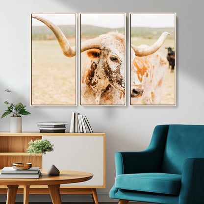 Close-up of a speckled Texas Longhorn in warm prairie tones, perfect for rustic western or countryside-themed room decor.