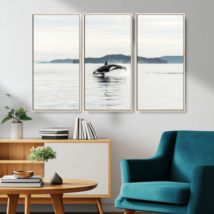 An orca jumping out of calm ocean waters with a misty island in the background, creating a serene and minimalist marine wildlife scene.