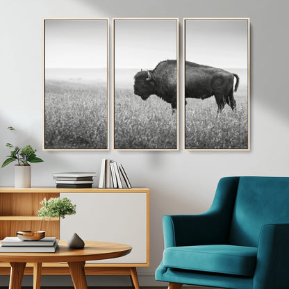 A black and white photograph of a majestic bison standing in a vast grassy prairie, evoking a sense of wilderness and strength.
