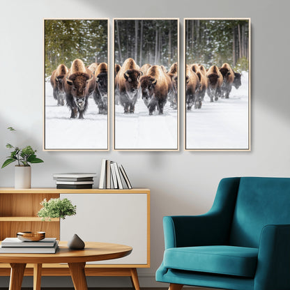 A herd of American bisons walking through a snowy forest path, perfect for rustic cabin or Western-themed wall decor.