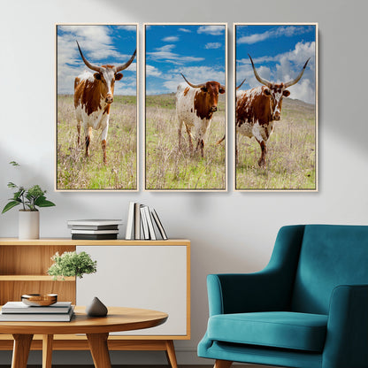 Three Texas longhorn cattle standing in dry grass under a bright blue sky, ideal for farmhouse or western rustic home decor.