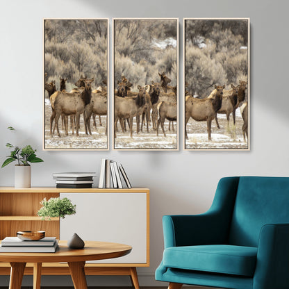 A large herd of elk standing in an open field with soft earthy tones, ideal for rustic lodge or western-themed home wall decor.