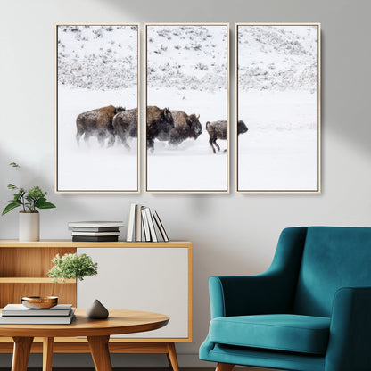Bison herd running through a snowy open field with mountain backdrop, perfect for rustic or western-themed wall decoration.