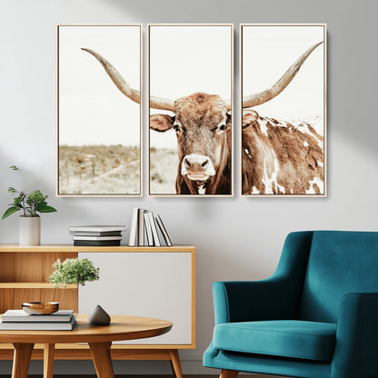 A Texas longhorn bull with wide horns, standing in a dry field under soft light, ideal for rustic farmhouse or western-themed interiors.