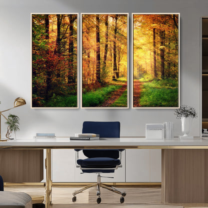 73494-MGV-CV-36X24-Golden Autumn Forest Path Wall Art – Sunlit Woodland Canvas Print, Fall Nature Landscape Home Decor