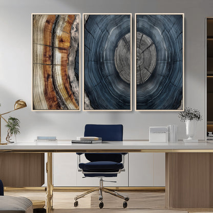 A stunning close-up of a tree trunk showing the intricate, circular growth rings, showcasing the natural textures and rich contrasts in deep blues, browns, and silvers.