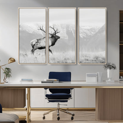 Black and white photograph of a majestic elk standing in a grassy field with snow-capped mountains in the background, creating a bold and rustic wilderness scene.