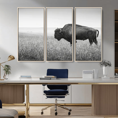 A black and white photograph of a majestic bison standing in a vast grassy prairie, evoking a sense of wilderness and strength.