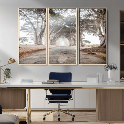 Canvas of a misty tree tunnel with arching cypress trees and an earthy road, ideal for rustic or coastal nature decor.