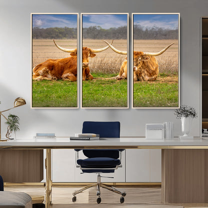 Two longhorn cows lying on green grass in front of a golden field and trees under a blue sky, perfect for rustic country wall decor.