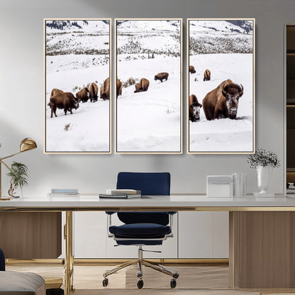 A herd of bison walking through deep snow in a mountain valley, perfect for rustic, cabin or western-themed wall decor.