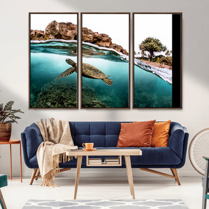 Dynamic split-view photo of a sea turtle swimming near rocky shores, perfect for vibrant coastal or tropical beach home decor.