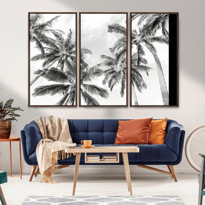 Black and white tropical palm trees viewed from below, swaying gently against a bright sky, creating a serene and elegant coastal atmosphere.