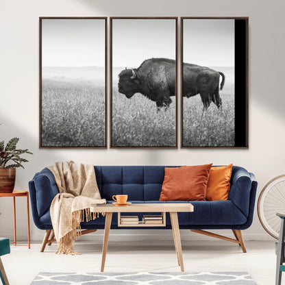 A black and white photograph of a majestic bison standing in a vast grassy prairie, evoking a sense of wilderness and strength.