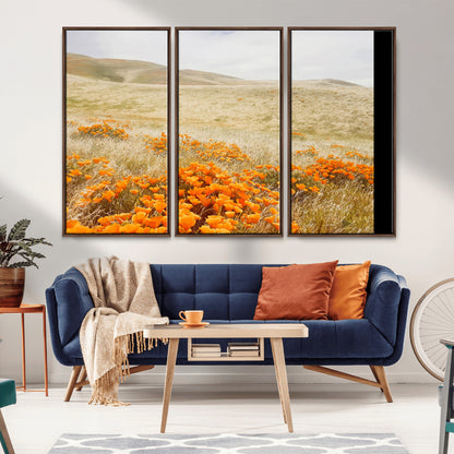 A golden field with vibrant orange poppies blooming across rolling hills under a soft, sunlit sky, creating a warm and rustic landscape.