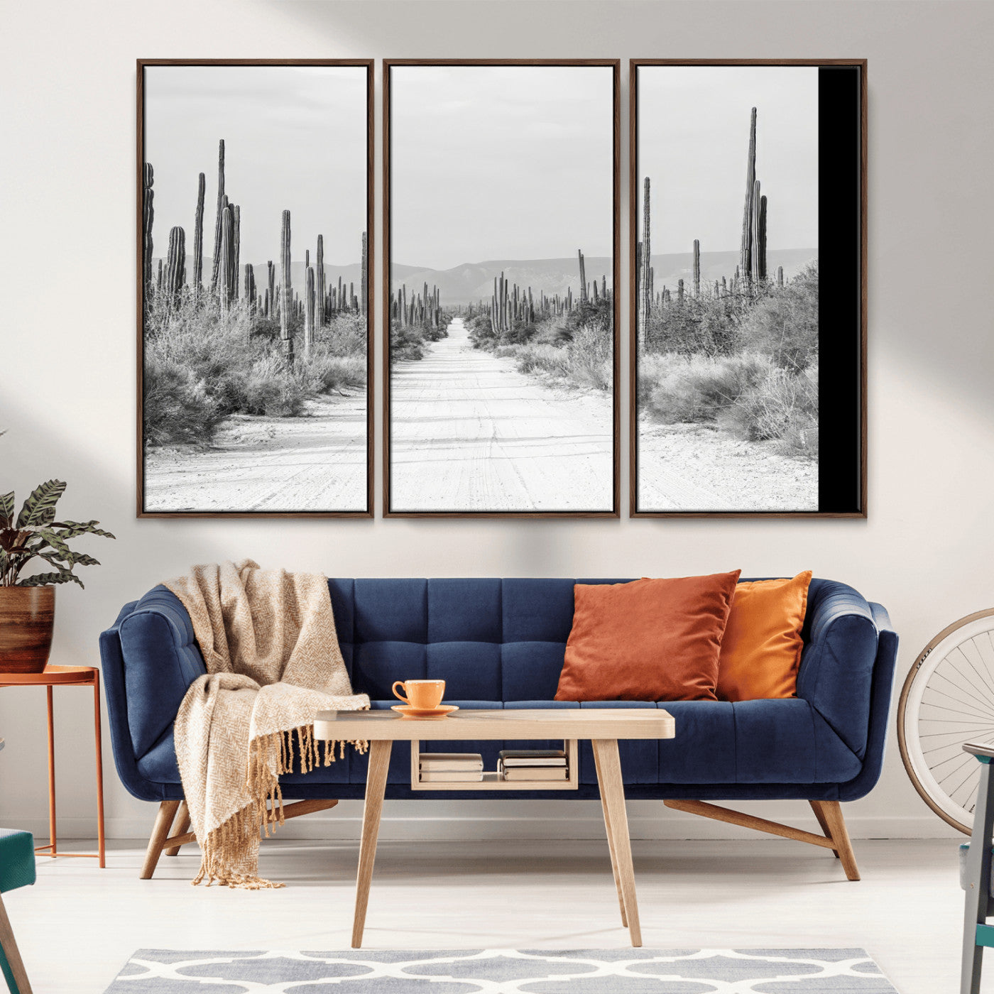 A black and white desert road stretching through a cactus-filled landscape, creating a rugged and timeless southwestern aesthetic with a sense of adventure.