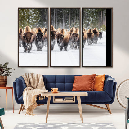 A herd of American bisons walking through a snowy forest path, perfect for rustic cabin or Western-themed wall decor.