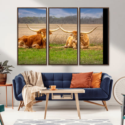 Two longhorn cows lying on green grass in front of a golden field and trees under a blue sky, perfect for rustic country wall decor.