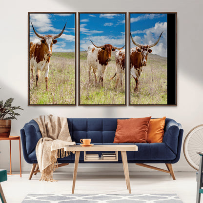 Three Texas longhorn cattle standing in dry grass under a bright blue sky, ideal for farmhouse or western rustic home decor.