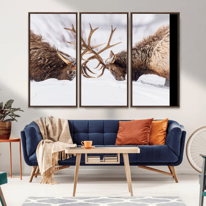 Two elk clashing antlers in a snowy forest, capturing raw power and wild energy, ideal for rustic cabin or lodge-style decor.