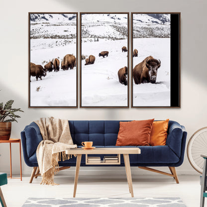 A herd of bison walking through deep snow in a mountain valley, perfect for rustic, cabin or western-themed wall decor.