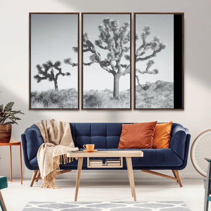Black and white Joshua tree in a desert landscape with soft light and dry brush, perfect for rustic or minimalist home decor.