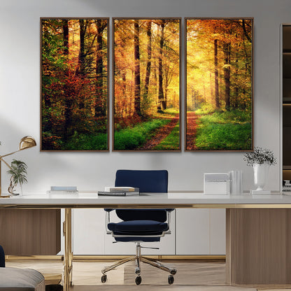 73494-MGV-CV-36X24-Golden Autumn Forest Path Wall Art – Sunlit Woodland Canvas Print, Fall Nature Landscape Home Decor
