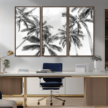 Black and white tropical palm trees viewed from below, swaying gently against a bright sky, creating a serene and elegant coastal atmosphere.