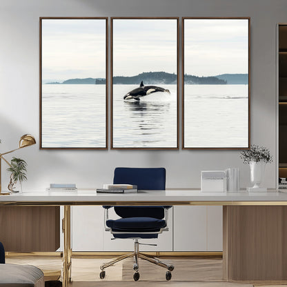 An orca jumping out of calm ocean waters with a misty island in the background, creating a serene and minimalist marine wildlife scene.