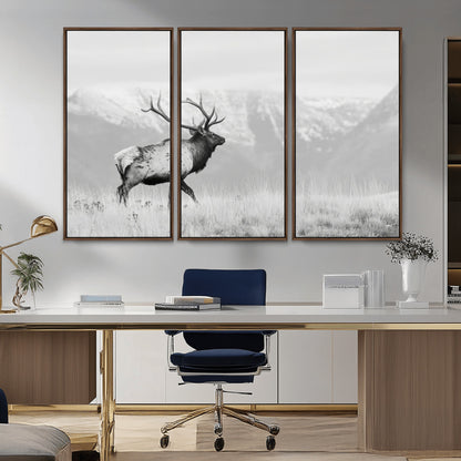 Black and white photograph of a majestic elk standing in a grassy field with snow-capped mountains in the background, creating a bold and rustic wilderness scene.