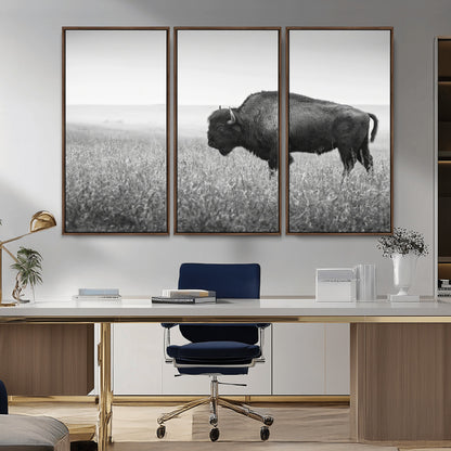A black and white photograph of a majestic bison standing in a vast grassy prairie, evoking a sense of wilderness and strength.