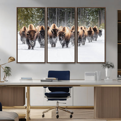 A herd of American bisons walking through a snowy forest path, perfect for rustic cabin or Western-themed wall decor.