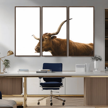Minimal photo of a longhorn cow with white background, ideal for rustic, western or farmhouse-style interior decor.