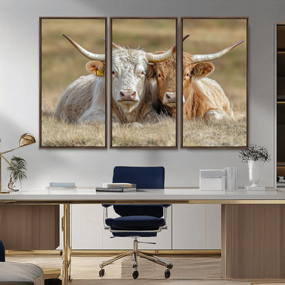 Two cows laying closely in a dry grassy field, captured in soft light, perfect for rustic farmhouse or western style home decor.