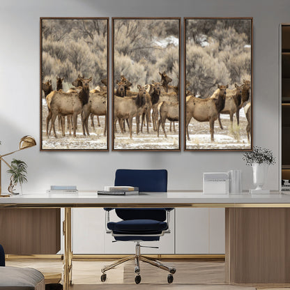 A large herd of elk standing in an open field with soft earthy tones, ideal for rustic lodge or western-themed home wall decor.